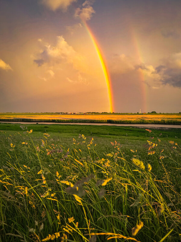 Regenbogen über einem Feld